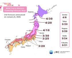 2026 Cherry Blossom Flowering Forecast